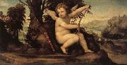 SODOMA, Il Cupid in a Landscape oil painting